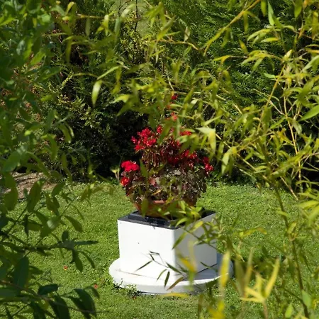 Le Nid D'hirondelles Tatil Evi Bouy-Luxembourg